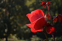 һ���¼���������дͼƬ