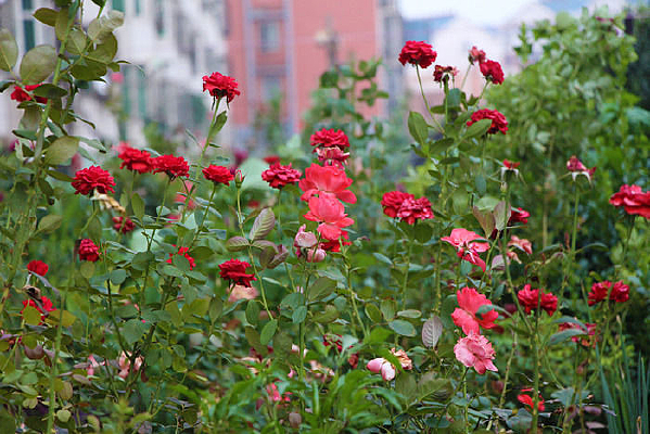 ���ȶ��޵��¼�