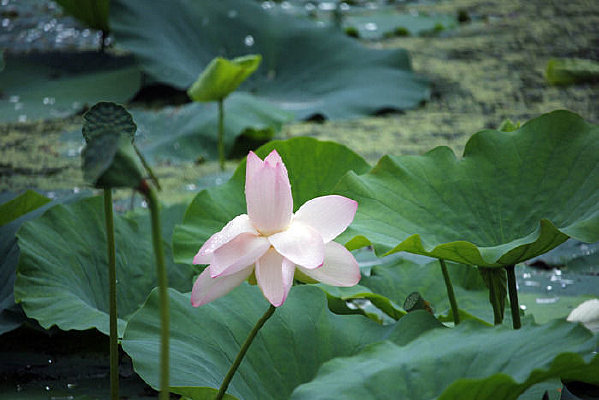 �뿪�İ׷ۺɻ�