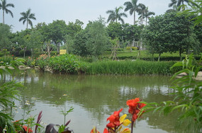 ��ɫ�������ͼƬ