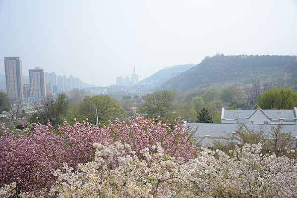 �����ĺ�