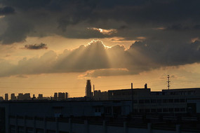 ���Ƶ����