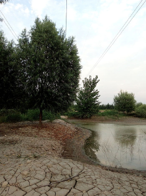 ����һ��