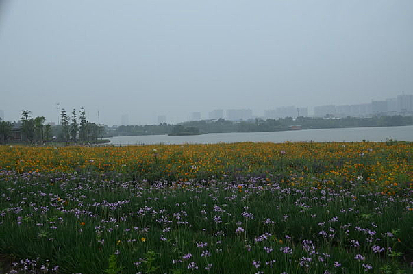 �²˻����羰ͼƬ