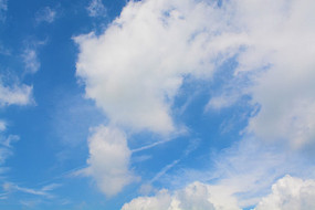 ������Ʋ�