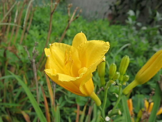 �������޵Ľ�����