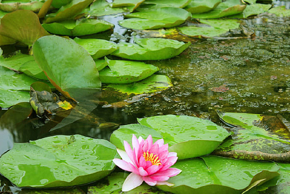 �ļ��峿˯��