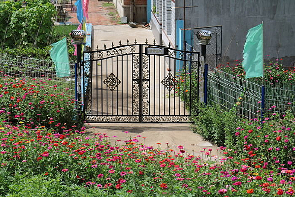 �ʻ�����