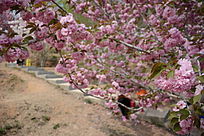 �����µ�ʯ��