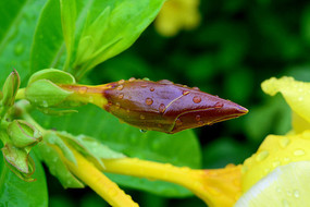 ��ˮ��Ļ���