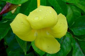 ��ˮ��Ļ���