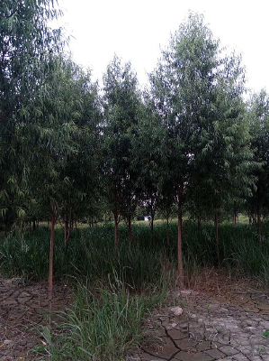 �����еĴ���