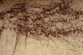 ��ǽ��ή����ɽ��