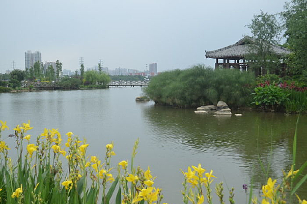 �����ĺ������ͼƬ