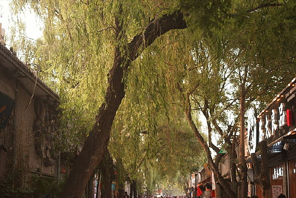 �������Ĺ���