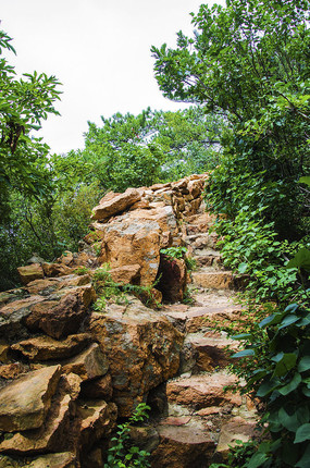 ǧɽ�ƴ��ųǳ�ǽ����ľ