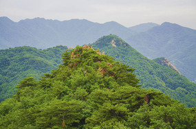 ǧɽ�ƴ��ųǿ�ɽ��