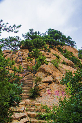 ǧɽ�ƴ��ų���̵δ�ɽ������ľ