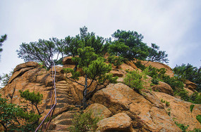 ǧɽ�ƴ��ų���̵δ�ɽ��������