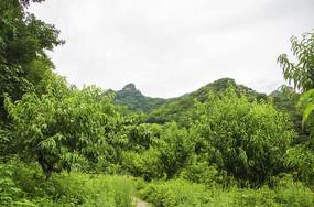 ǧɽ�һ�Ϫ����ľɽ��