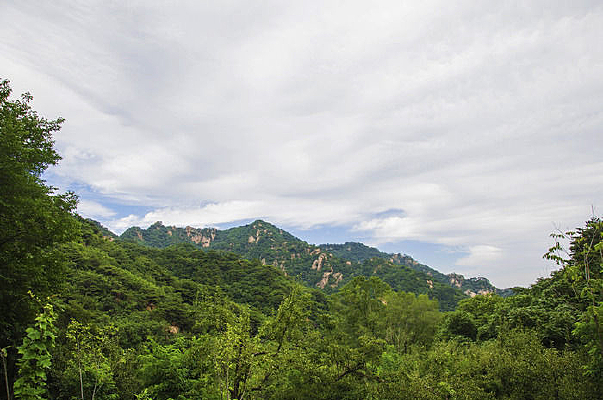 �һ���������