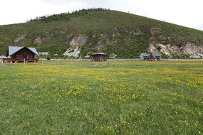 ɽ���¿���Ұ��