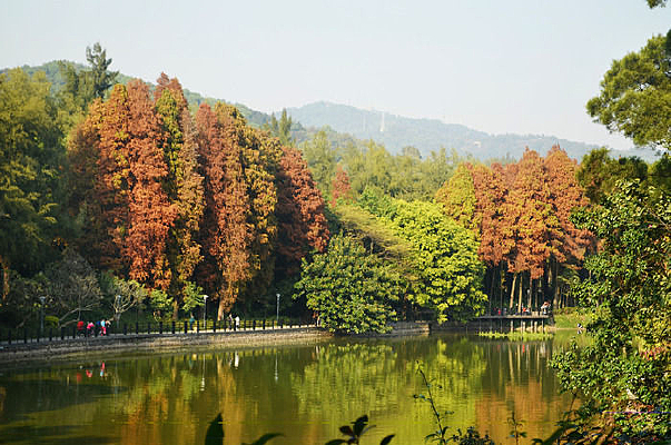 Ψ���������ﾰ