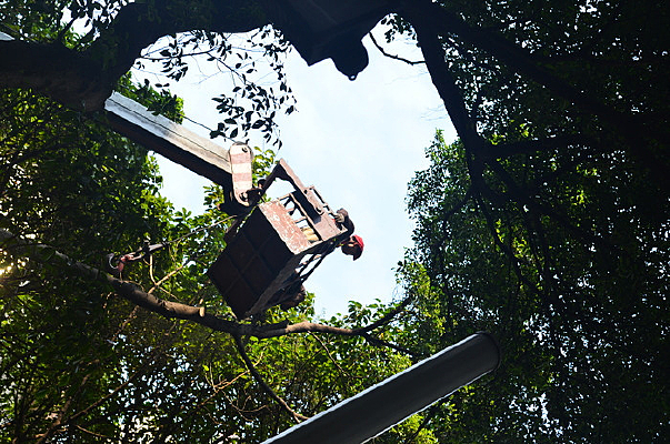 �ִ���������ľ�羰ͼƬ