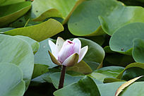 �뿪�İ���ɫ������