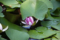 �뿪�ķ�����