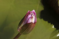 �뿪�ķ���������