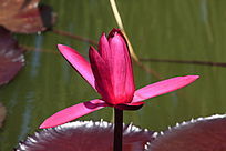 �뿪�ĺ�����