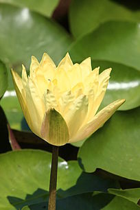 �뿪�Ļ�����