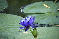 �������ɫ����