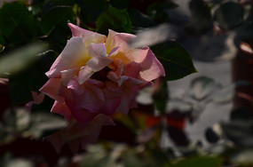 ��ӰЧ����ɫ�¼����羰ͼƬ