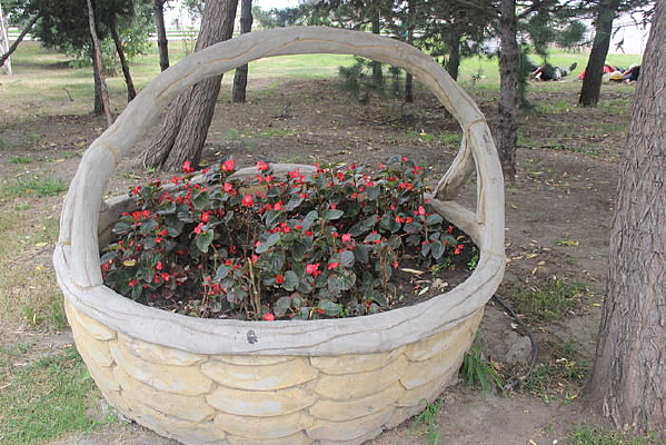 ��������