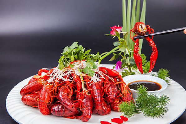 �����Ϻ���ŵ�