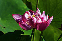 õ������