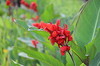 ���˽�֮��