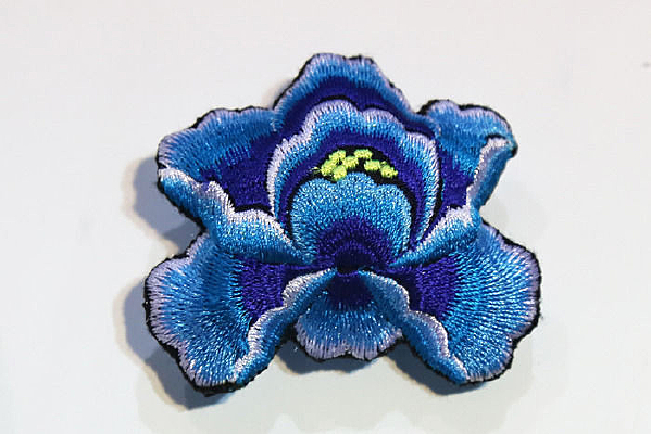 ���������ɫ����