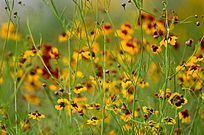 Ұ��������д�羰ͼƬ