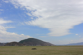 �����²ݵ�