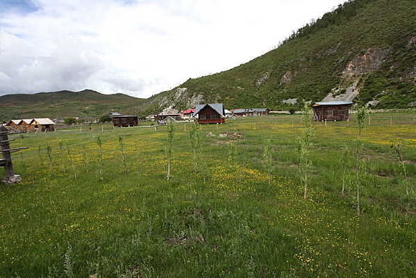 �ݵز�ƺֲ��