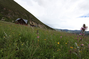 ��ƺҰ��Ұ��