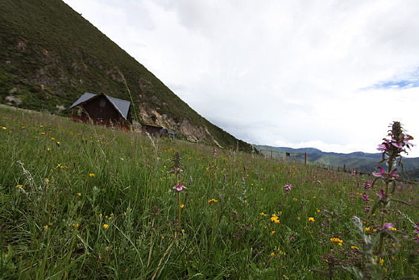 ��ƺҰ��Ұ��