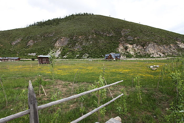 ��ԭ�ϵ�ֲ��