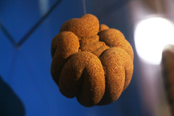 �������������