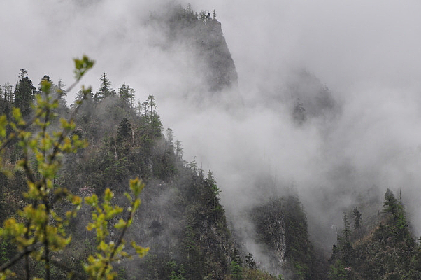 ����������������ɽ