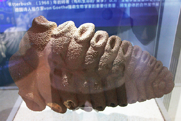 �������֯�����