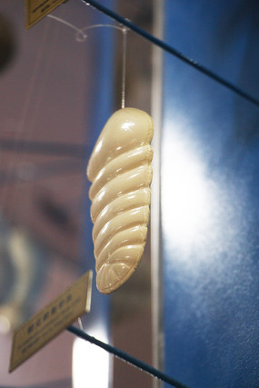 ������������